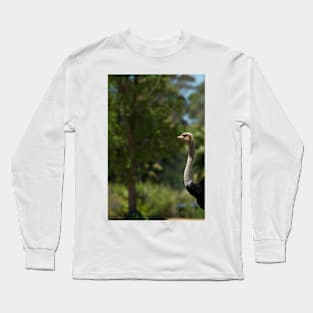 Peek-A-Boo Long Sleeve T-Shirt